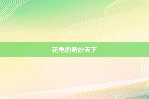 花龟的奇妙天下